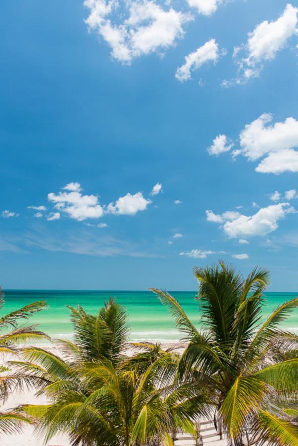 Beachfront Apartment Hacienda Dエル・コージョ エクステリア 写真