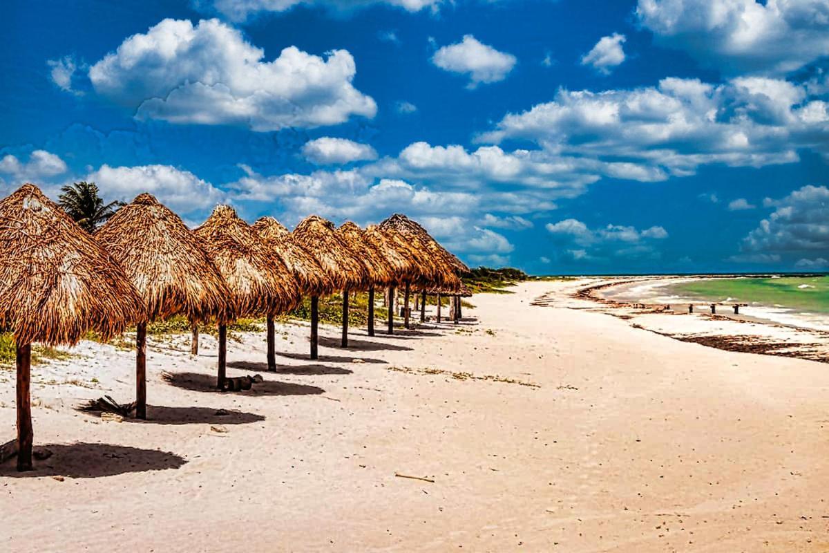 Beachfront Apartment Hacienda Dエル・コージョ エクステリア 写真